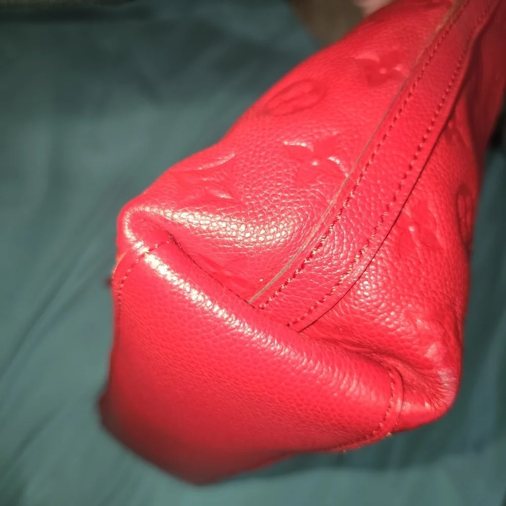 Louis Vuitton elegant stylish